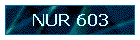 NUR 603