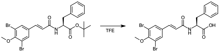 Scheme 3. Example removal of the tert-butyl ester protecting group by TFE.