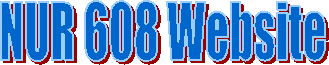 NUR 608 Website